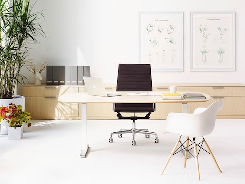 An office featuring an oval Renew Sit-to-Stand Table, black Eames Aluminum Group Chair, and white Eames Molded Plastic Armchair. An office featuring an oval Renew Sit-to-Stand Table, black Eames Aluminum Group Chair, and white Eames Molded Plastic Armchair.