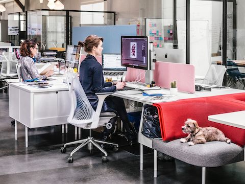 Two people sit at their workstations, as a small dog sits nearby in a chair. Two people sit at their workstations, as a small dog sits nearby in a chair.