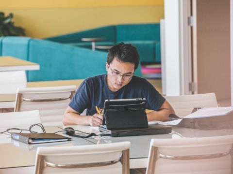A student studies while seated at a library table. A student studies while seated at a library table.