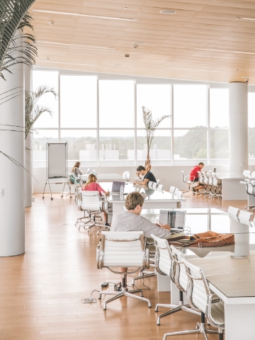 Students study and work inside of a study space full of natural light. Students study and work inside of a study space full of natural light.