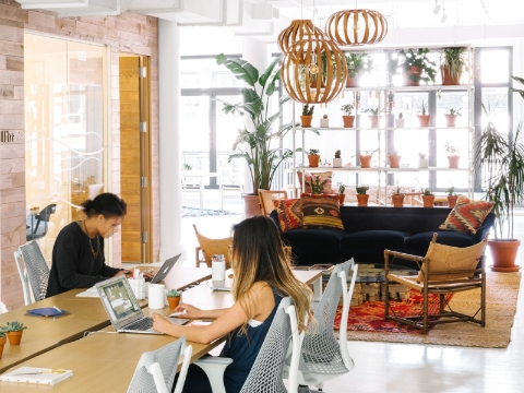 Two women work at their computers inside of a communal office space. Two women work at their computers inside of a communal office space.