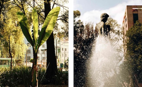Adding to the laid-back pace of Condesa and Roma are numerous parks and plazas, like Parque de España (left) and Plaza Río de Janeiro (right). Adding to the laid-back pace of Condesa and Roma are numerous parks and plazas, like Parque de España (left) and Plaza Río de Janeiro (right).